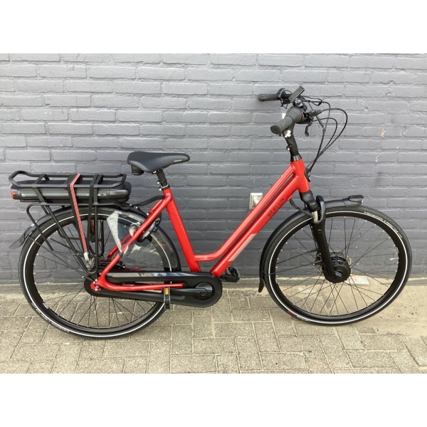 Stella Livorno-50 cm-Rood