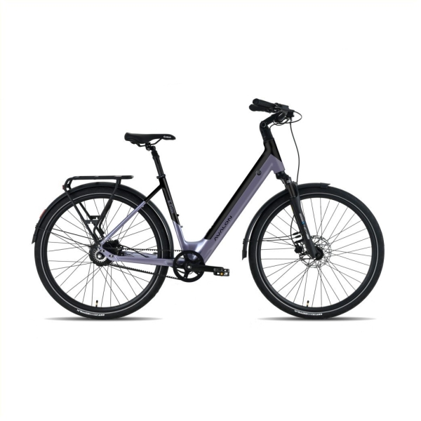 Avalon E-Flow 504 Wh Dames